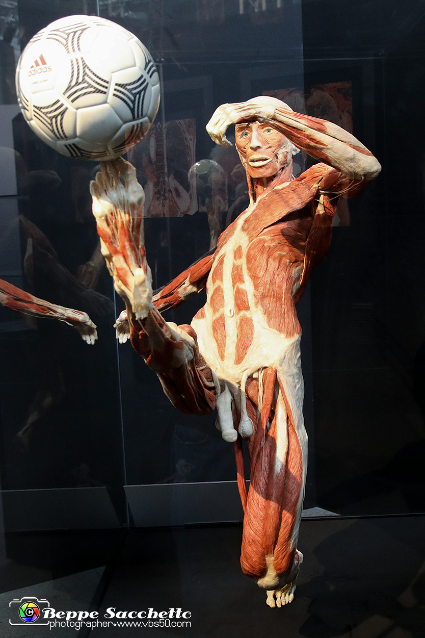 VBS_2622 - Mostra Body Worlds.jpg
